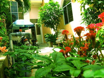 cay xanh phong thuy ngu hanh Bài trí cây xanh trong nhà để thu hút vận may, tài lộc