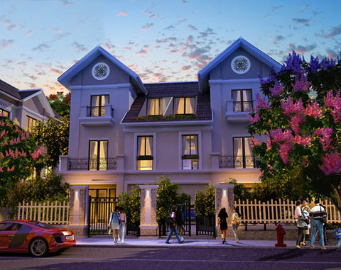 Gia chủ không nên trông nhiều cây ở tường rào.